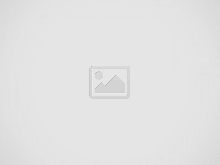 Analysing Netflix’s Dash and Lily